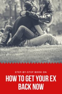 https://thelovegal.com/how-to-get-your-ex-back-guide/